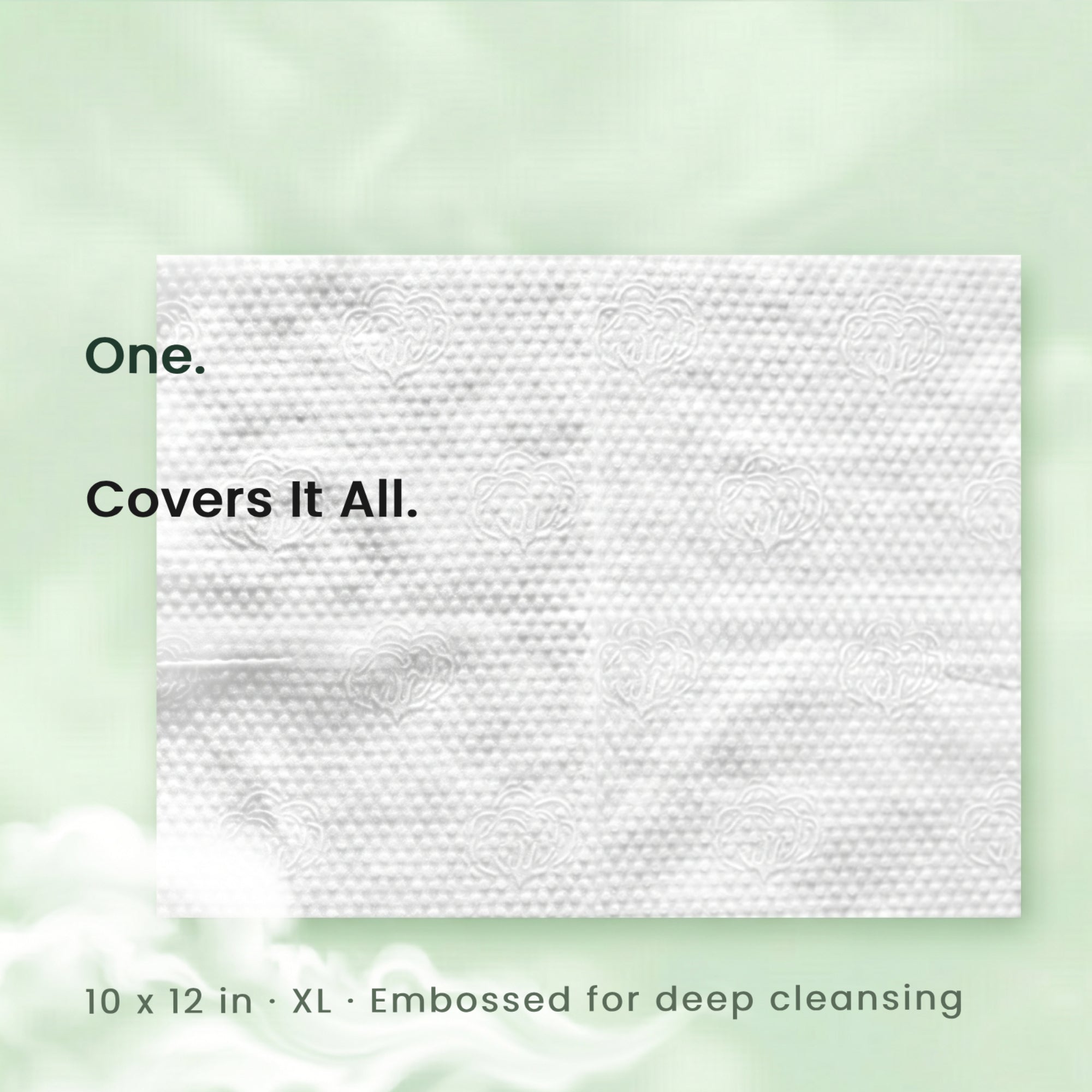 White filter with text on a light green background